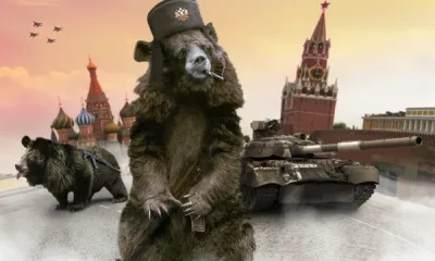 russian bear