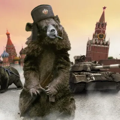 russian bear