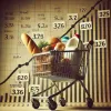 Government Promises: Lifeline or Lip Service?